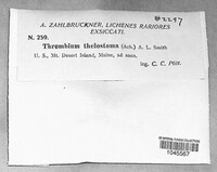 Image Associated With the Occurence